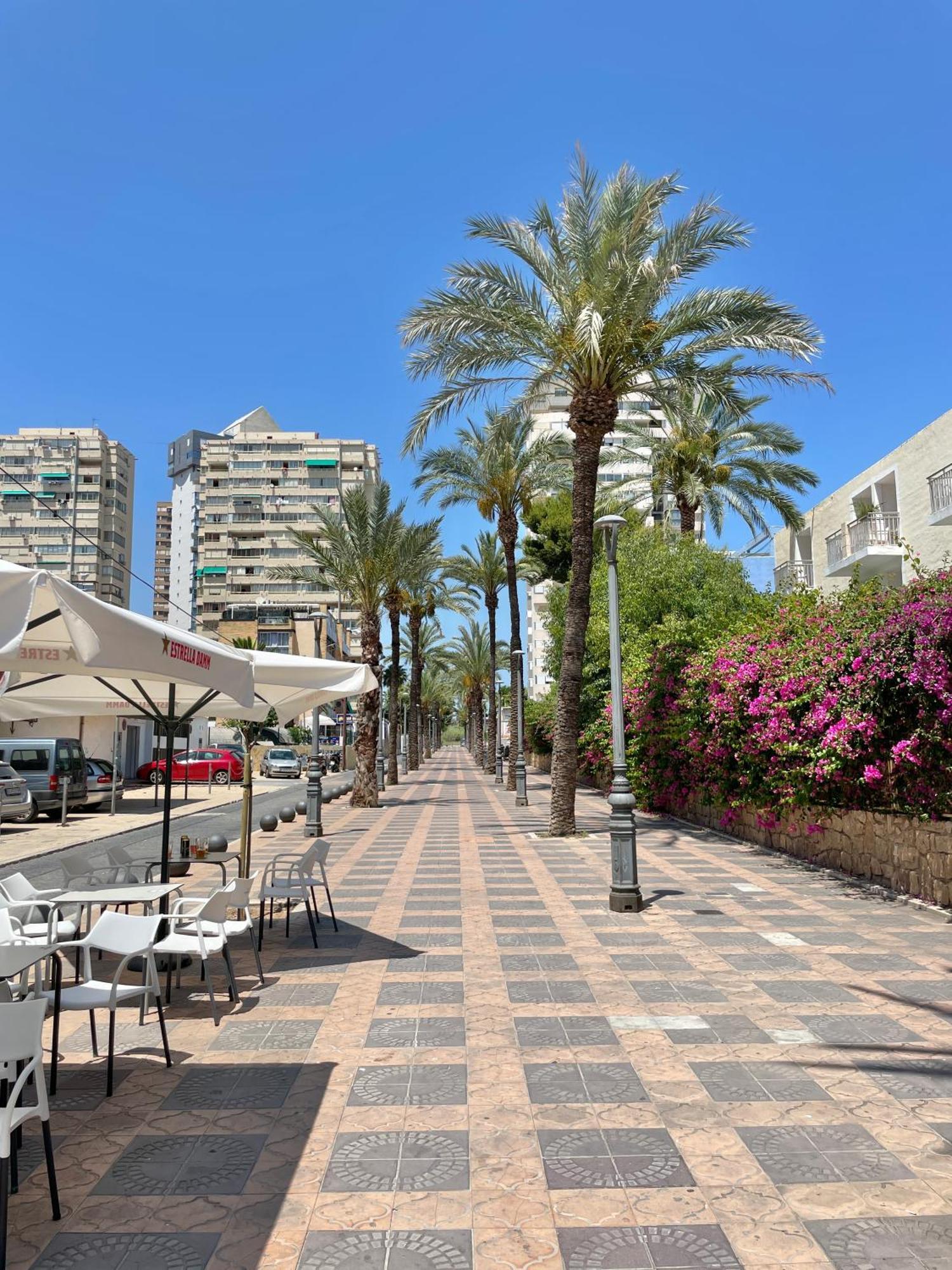 דירות בנידורם New Square Ibiza מראה חיצוני תמונה
